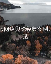 91网页版网络舆论经典案例，带你看透