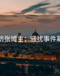 麻豆专访张博主：骚扰事件幕后故事