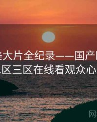 独家欧美大片全纪录——国产欧美一区二区三区在线看观众心理
