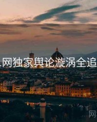 91网独家舆论漩涡全追踪