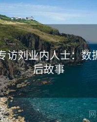 91官网专访刘业内人士：数据泄露幕后故事