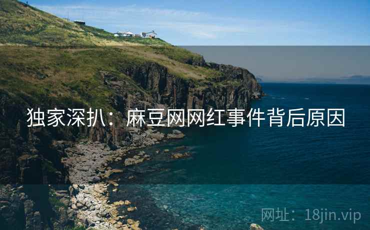 独家深扒：麻豆网网红事件背后原因