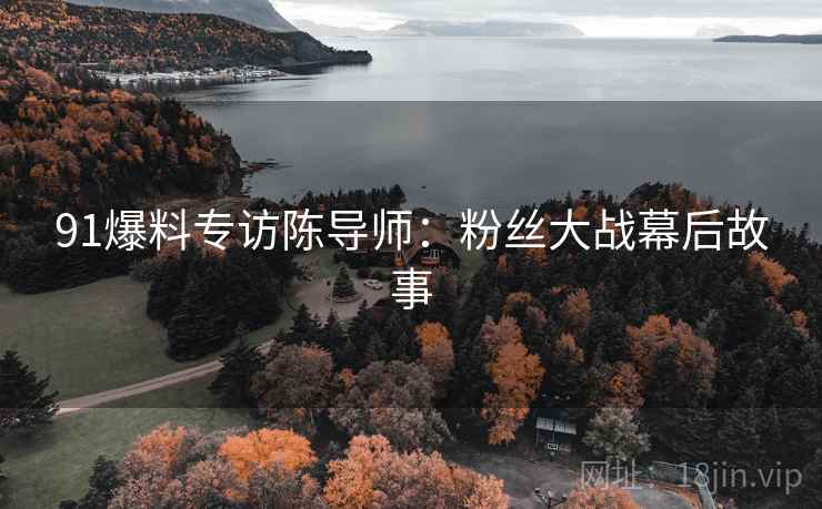 91爆料专访陈导师：粉丝大战幕后故事