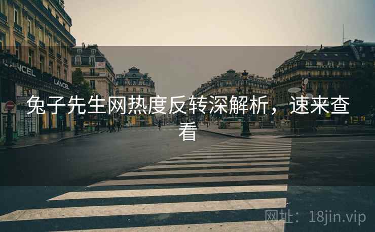 兔子先生网热度反转深解析，速来查看