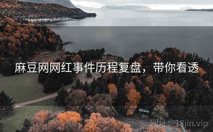 麻豆网网红事件历程复盘，带你看透