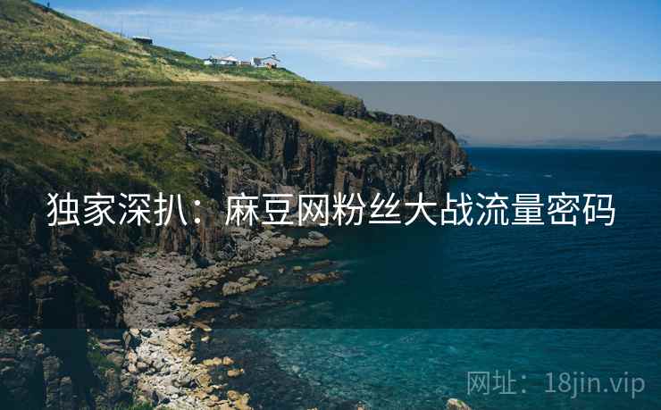 独家深扒：麻豆网粉丝大战流量密码