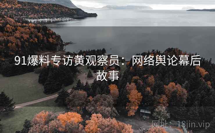 91爆料专访黄观察员：网络舆论幕后故事