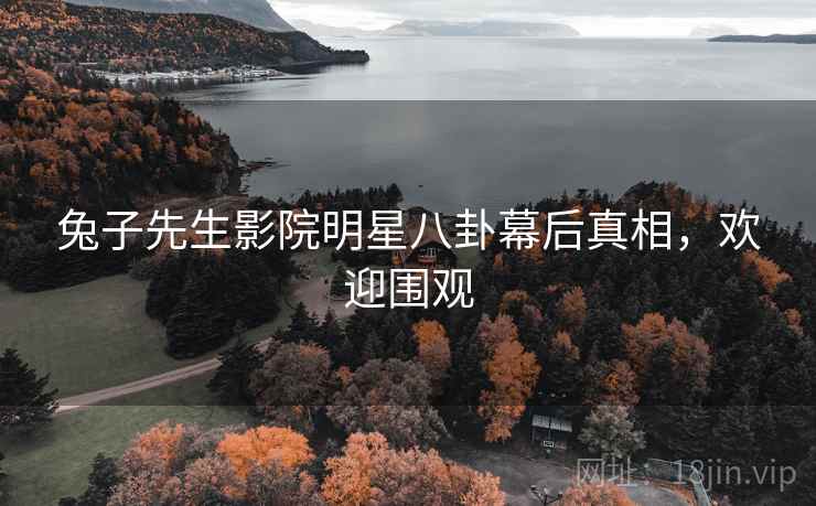 兔子先生影院明星八卦幕后真相，欢迎围观