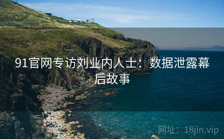 91官网专访刘业内人士：数据泄露幕后故事