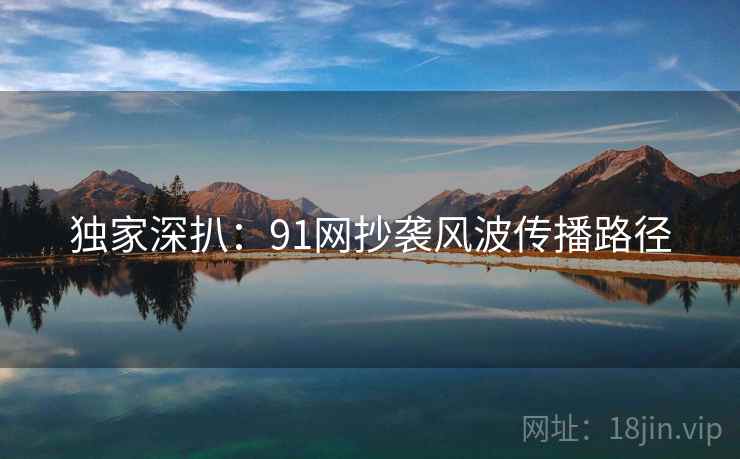 独家深扒：91网抄袭风波传播路径